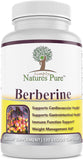 Simply Natures Pure Premium Berberine HCl - 120 Capsules